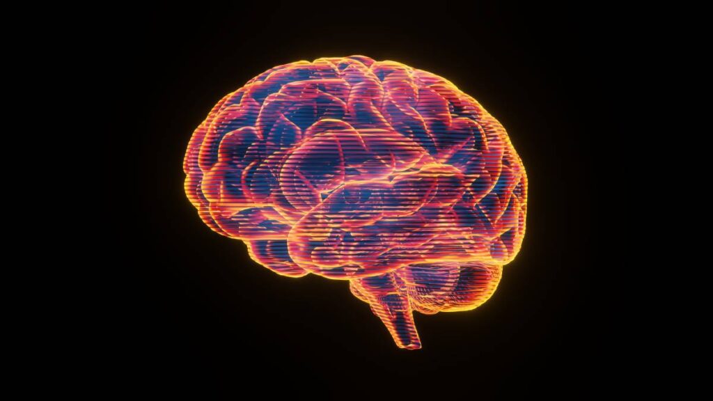 generalanesthesiaprefrontalcortex